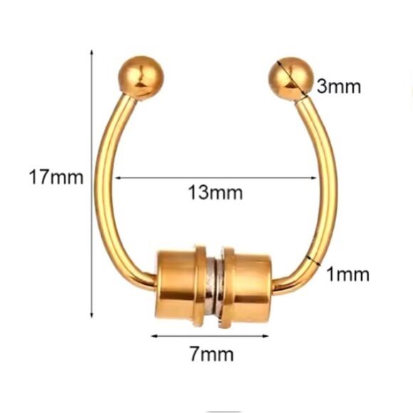 Tarnish Free Magnetic Fake Nose Ring For Women 316L Stainless Steel - Picture 2 of 7